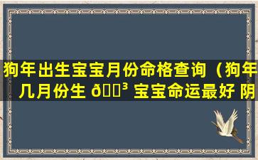 狗年出生宝宝月份命格查询（狗年几月份生 🐳 宝宝命运最好 阴历）